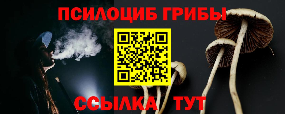 Псилоцибиновые грибы Cubensis Ростов Великий